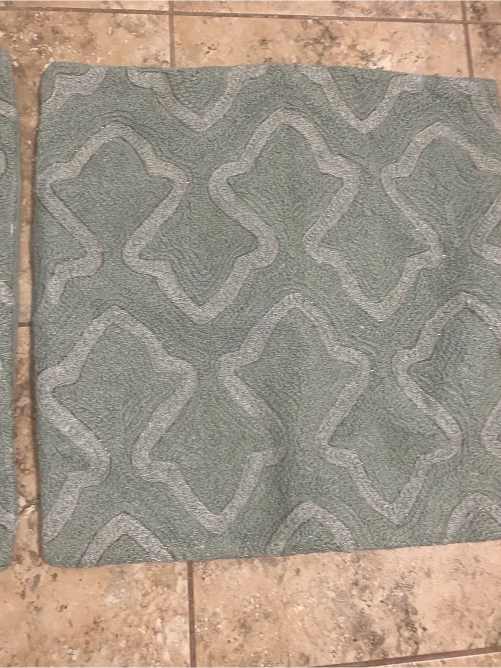 2 Pottery Barn Textured Beaded Sage Decorative Square Trellis Pillow Shams 19x19
